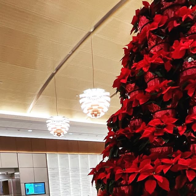 RMCarrLab's tweet card. Ryan M Carr (@rmcarrlab) • Instagram photo