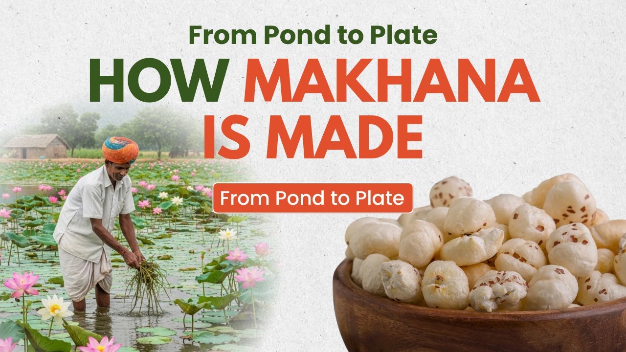 kisanmakhana's tweet card. How Makhana (Foxnuts) is Made in India| Makhana Production Process