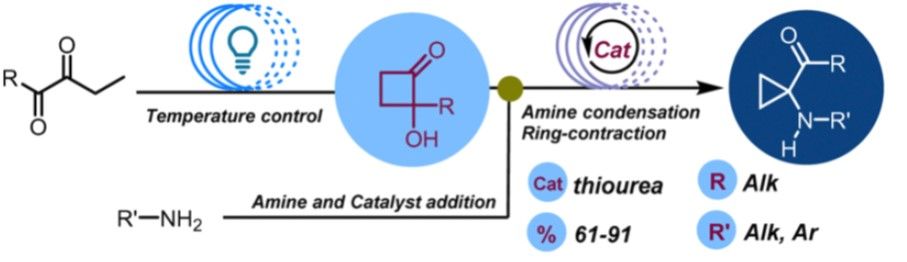 LcsoLab's tweet card. First #LCSOJournalClub for 2025: 174.1 (highlighted in picture): a flow two-step synthesis of cyclopropane aminoketones from diketones via a photocyclization/ring-contraction sequence reported by...