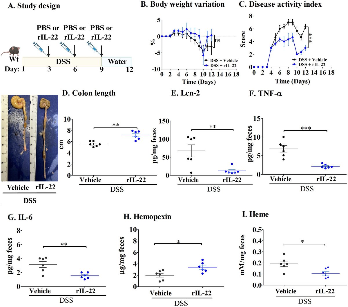 Nut_Microb_Lab's tweet card. IntroductionInflammatory bowel disease (IBD) is a chronic, relapsing inflammatory disorder of the gastrointestinal tract that frequently requires long-term i...