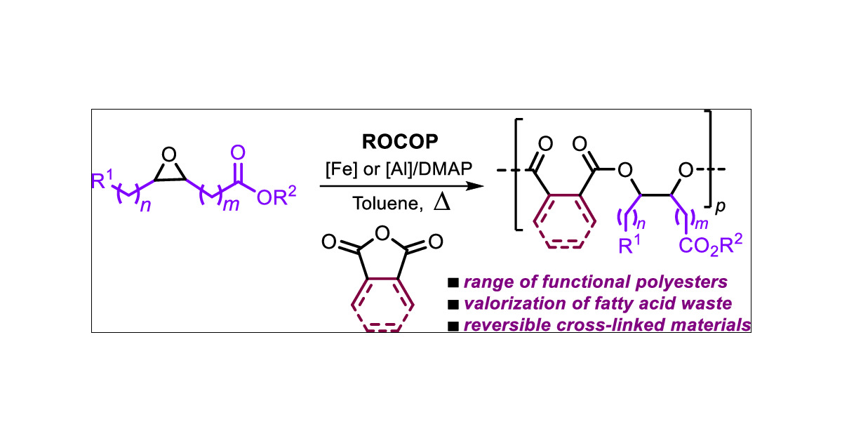 KLEIJ_ICIQ's tweet card. Fatty acid epoxies serve as valuable starting materials for the development of bio-based polyesters. Here we present a new and efficient catalytic process that allows for the copolymerization of...