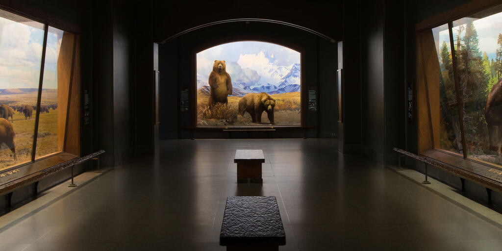 RGGSatAMNH's tweet card. Fellowships for graduate students and postdoctoral researchers across disciplines.