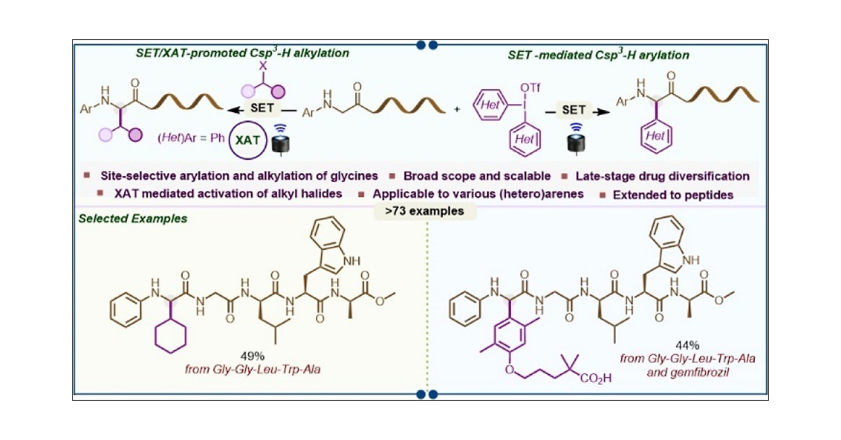 SMLab_IITJ's tweet card. There is a scarcity of general strategies for the site-selective α–Csp3–H arylation of glycine derivatives to synthesize nonproteinogenic α-arylglycines that occur frequently in commercial drugs and...