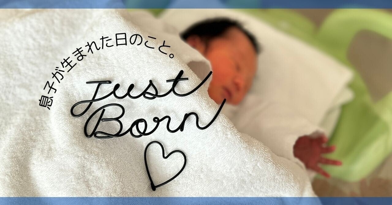 huglogic's tweet card. 2024年12月29日(日) AM1:00 49cm、3,245gの赤ちゃんをこの世に産んだ！ 満身創痍とはこのこと、よくやった自分。 4月に妊娠がわかってから今日まで、どんどんお腹は大きくなるし毎日何の心配もしなくていいほど元気に胎動があったけど、この目で見るまで、抱っこするまで、本当に人間がお腹にいるのか半信半疑だった。 夫なんてもっとそうだと思う。 「あなたの子よ！」と言われて、どんど...