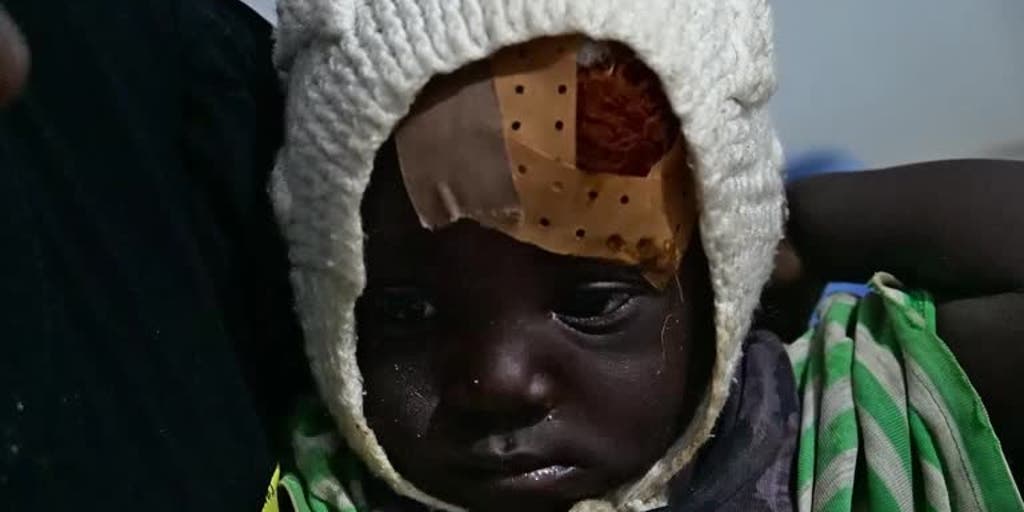 FoxNews's tweet card. With the world's attention focused on Israel's war against Hamas, the ethnic cleansing of Christians in Nigeria continues. New reports said up to 200 were slaughtered by jihadists.