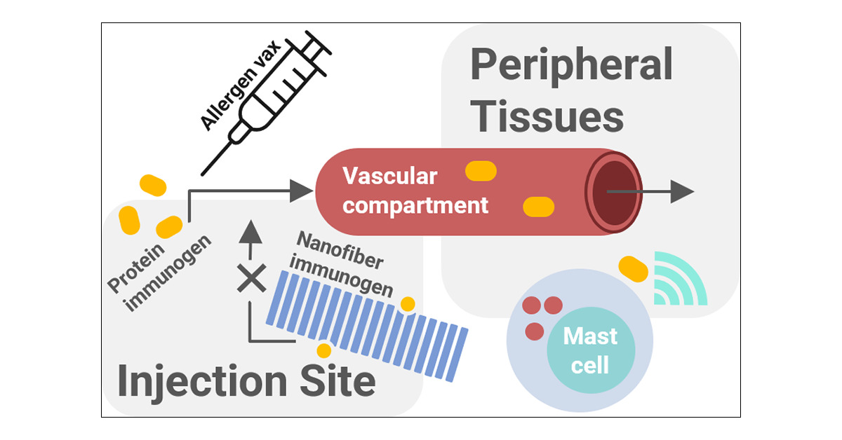 LabCollier's tweet card. Allergen immunotherapies are often successful at desensitizing allergic patients but can require life-long dosing and suffer from frequent adverse events including instances of systemic anaphylaxis,...