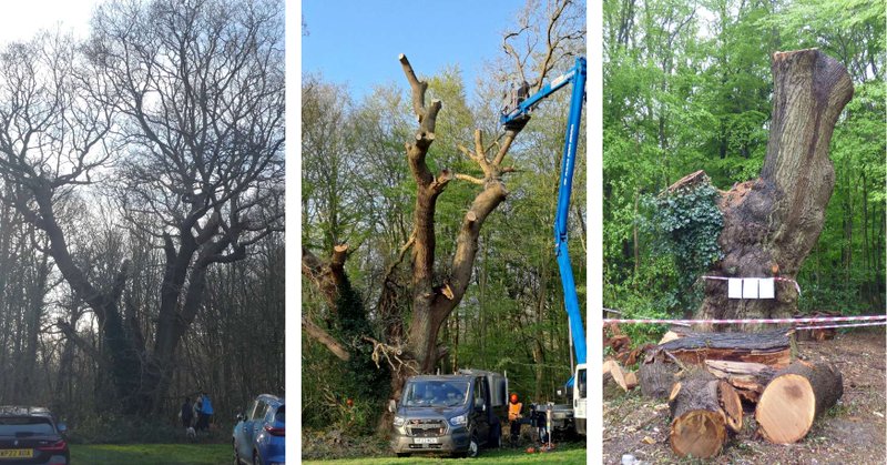 Tweet card summary image