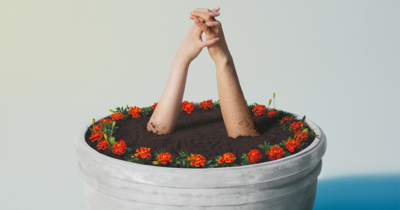 oricon's tweet card. ニュース｜　あいみょんの「マリーゴールド」が、19日発表の最新「オリコン週間ストリーミングランキング」で、女性ソロアーティスト作品として初めて累積再生数7億回を突破した。　週間再生数は212.1万回（2,121,020回）を記録。累積再生数は7億188.6万回（701,885,543回）となり、自身初の累積再生数7億回突破作品となった。