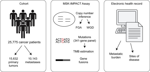 Cancer_Cell's tweet card. In Cell, Nguyen et al. utilize targeted panel sequencing combined with electronic health record data to study metastasis and organotropism in a large cohort of 25,775 patients. Their genomic and...