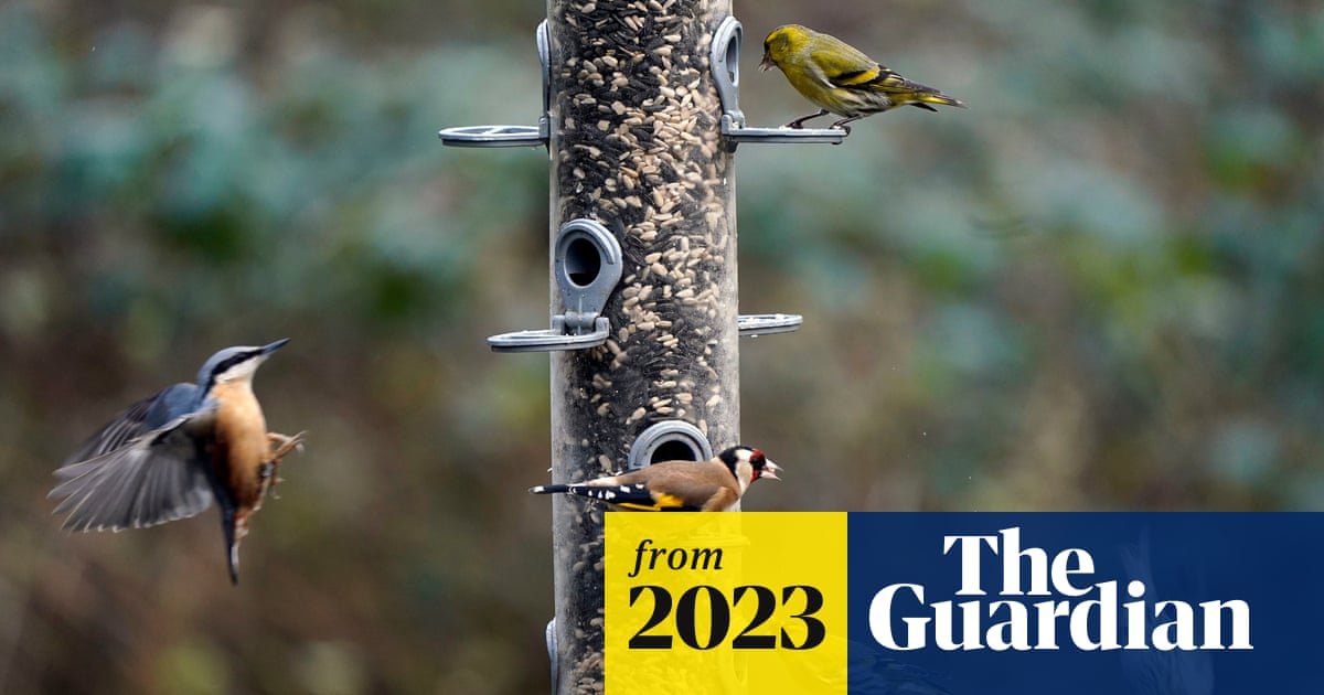 ReframeSupport's tweet card. RSPB shares results as Britons encouraged to spend an hour counting birds in annual Big Garden Birdwatch