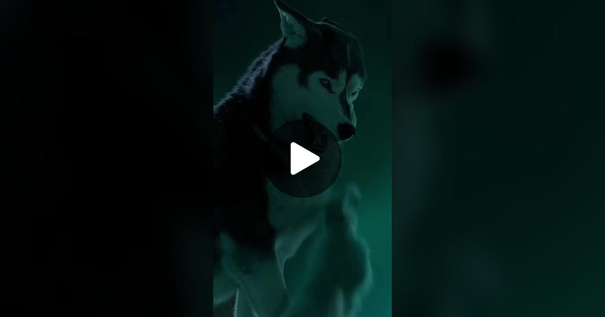 EEleg_Official's tweet card. Check out Alpha Warrior’s video.