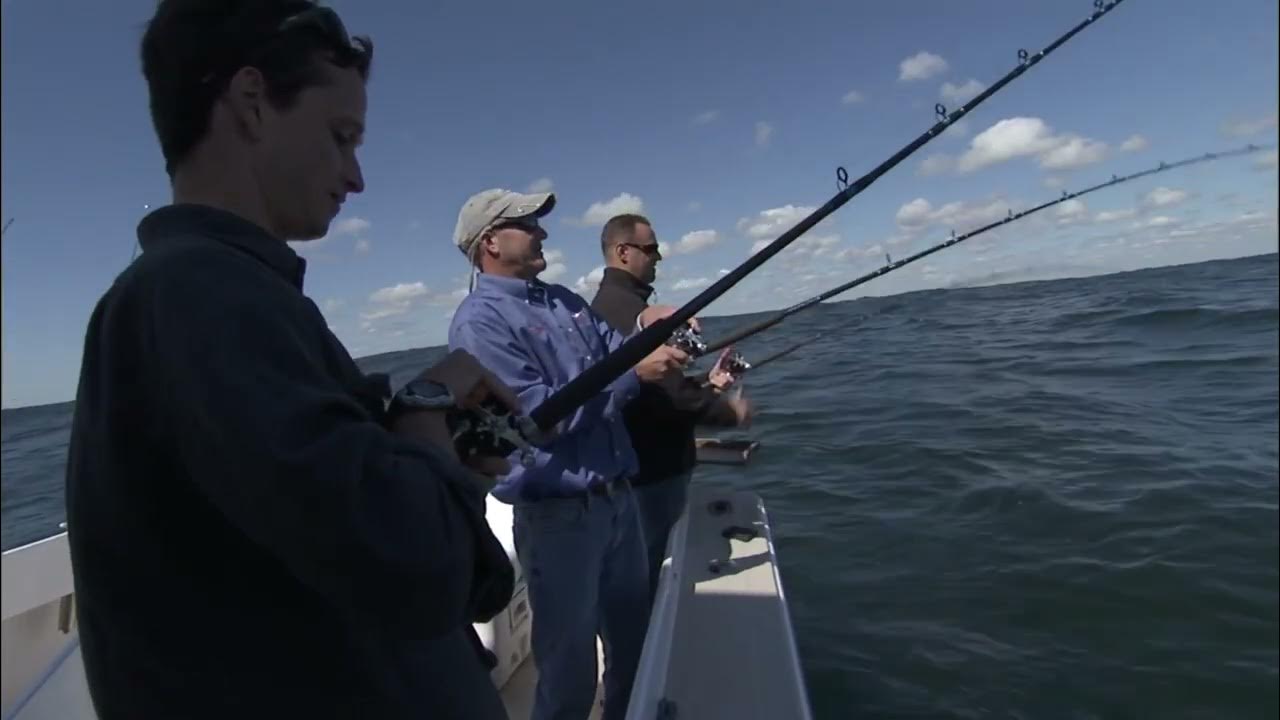 maracoos's tweet card. Introduction to IOOS Regional Beach and Boating Data Tools