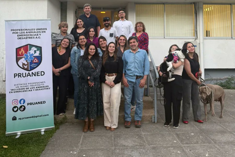 ladiscusioncl's tweet card. Un grupo de médicos veterinarios y especialistas de diversas disciplinas conformaron recientemente la Asociación Gremial de Profesionales Unidos por los Animales en Emergencias y Desastres (Pruaned…