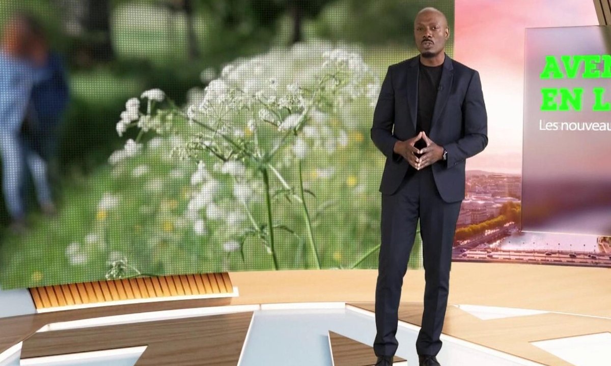 VictimesDM's tweet card. [VIDÉO] Émission en streaming sur TF1+ ▶️ 48m06s - Emission du 31 août 2025 - Retrouvez l'intégralité de Sept à Huit Life, magazine de l'information présenté par Harry Roselmack tous les dimanches...