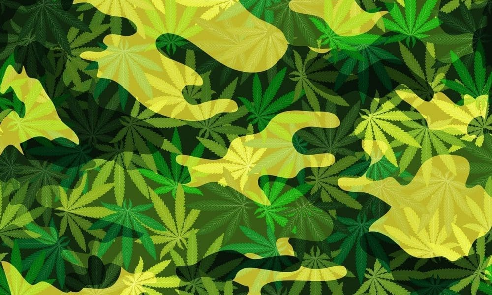 TexasHempBiz's tweet card. Advocates are sharply criticizing congressional leaders for advancing a spending bill ahead of Veterans Day on Tuesday that omits bipartisan provisions allowing U.S. Department of Veterans Affairs...