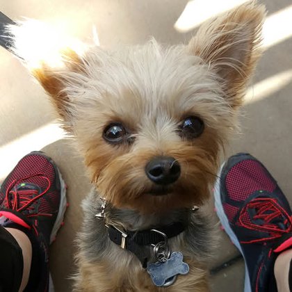 Tweet card summary image