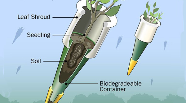 Fuller_Modular's tweet card. Using old reconditioned military planes, we can plant one billion trees a year. The planes will 'tree bomb' deteriorated forests that have been devastated by commercial logging.