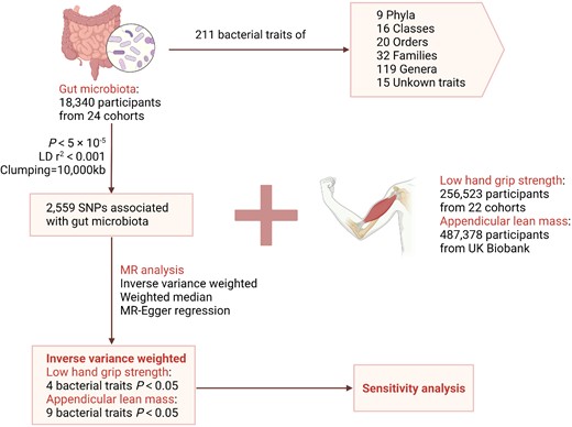 PrecisionClinMe's tweet card. AbstractBackground. Observational studies have indicated a potential link between gut microbiota and sarcopenia. However, the underlying mechanisms and a c