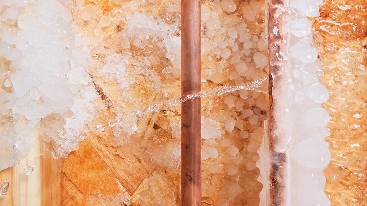 pluggedpiper's tweet card. Consumer Reports delivers money-saving advice to avoid frozen pipes at home and to deal with the aftermath if your pipes freeze during a cold snap.