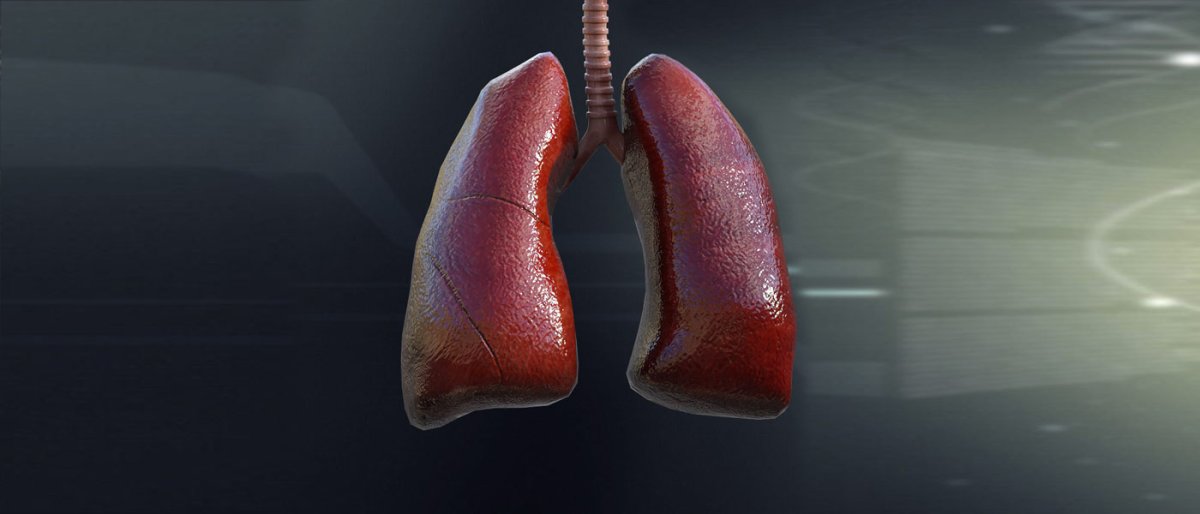 futurism's tweet card. Czech scientists have developed a 3D printed model of a functioning lung that can simulate real-life conditions like asthma and other chronic breathing problems. Their model could lead to new...