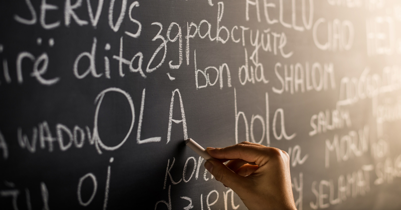 MarshallMinibus's tweet card. DfE plans to replace hubs scheme with online platform and 14 strategic learning networks