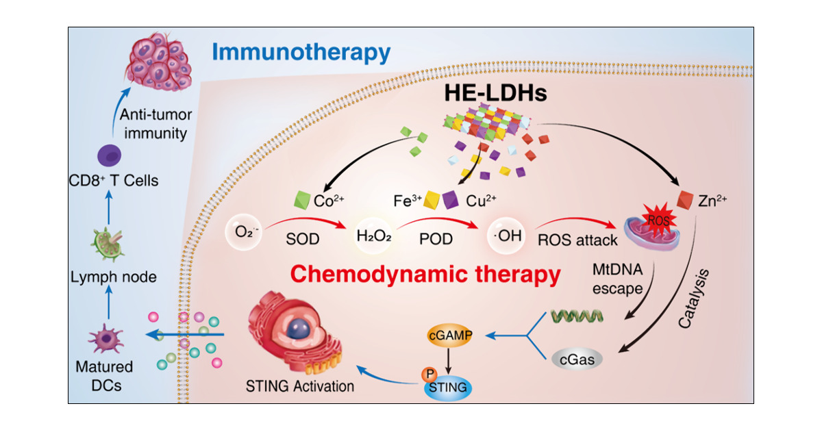 J_A_C_S's tweet card. High-entropy nanomaterials (HEMs) are a hot topic in the fields of energy and catalysis. However, in terms of promising biomedical applications, potential therapeutic studies involving HEMs are...