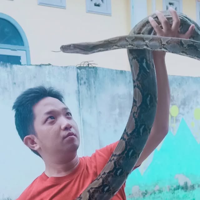 Schadd_Hamm_NEW's tweet card. Sadam Maulana (@sadammm13) • Instagram photos and videos