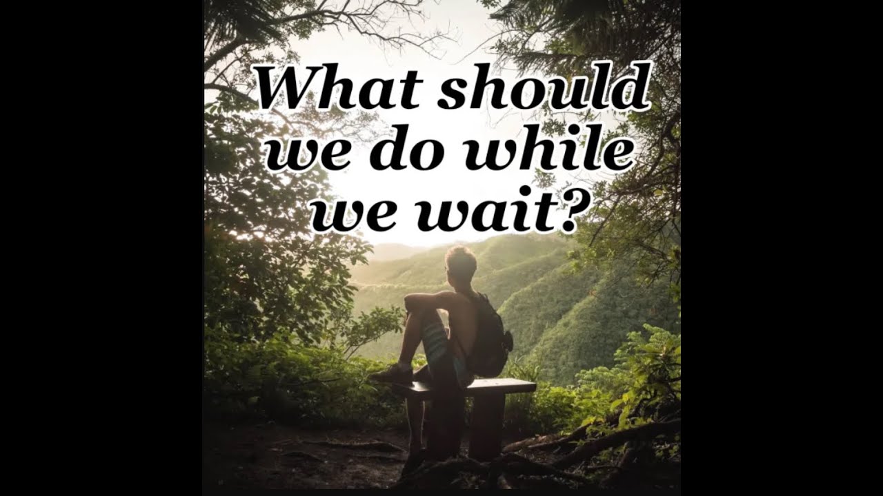 XRPlayerPlayer's tweet card. RIPPLE XRP - DO YOU KNOW WHAT YOU HOLD??? GORILLA GRIP IT!!!