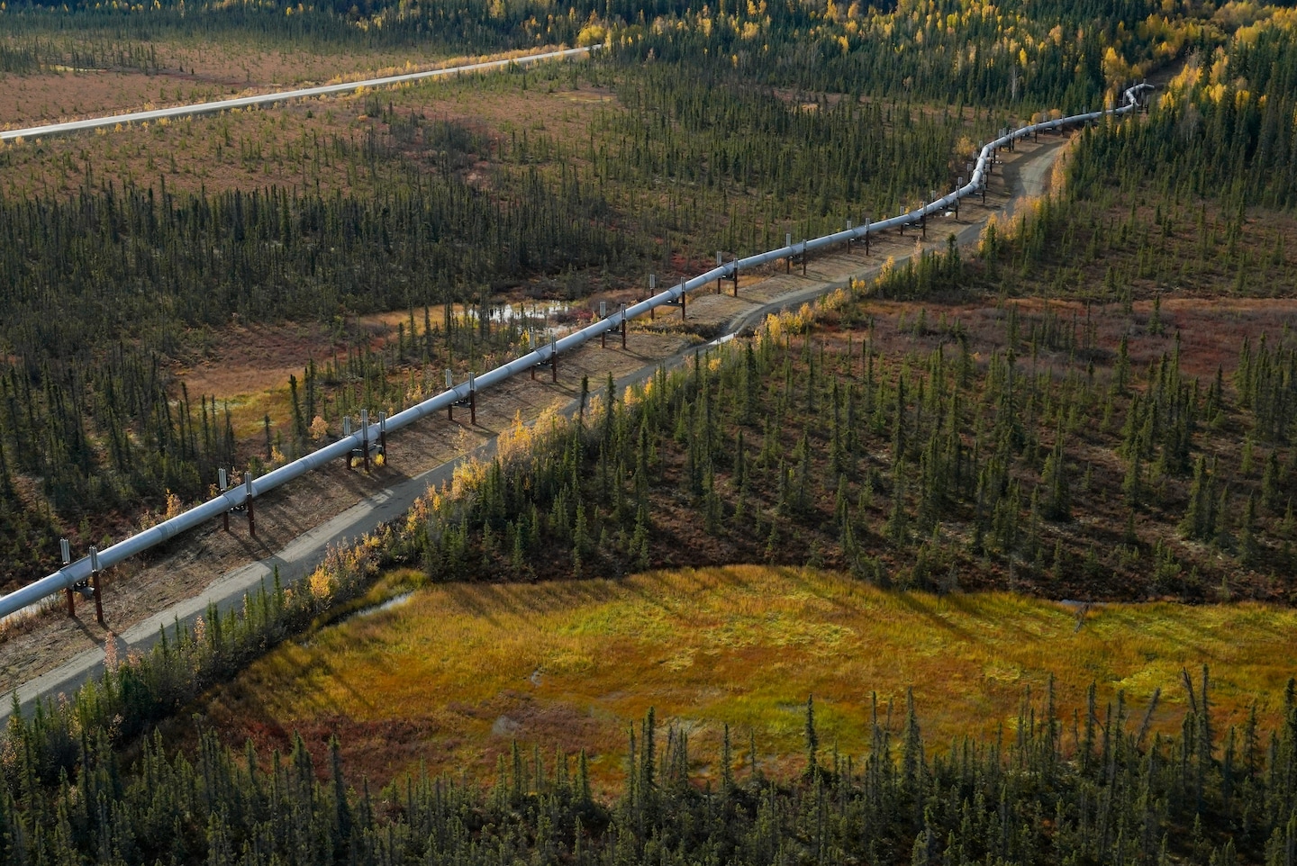 Natural_Allies's tweet card. Soaring utility bills in blue states are fueling the president’s plan to bring a gas project back from the dead.