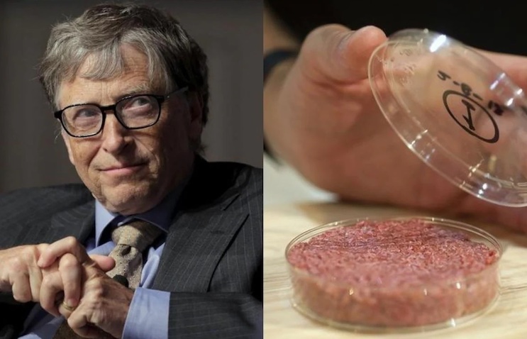 iluminatibot's tweet card. Bill Gates' lab-grown meat causes cancer in humans who consume it, according to a disturbing new study.