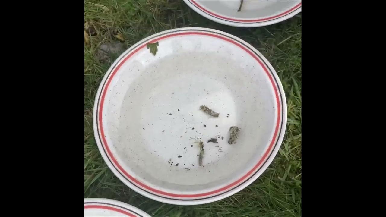 Upstreamdry's tweet card. Kick samples on the Test 8th March 2024