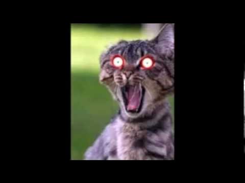 FABIOSOLTEIRO2's tweet card. Funk Pedro me dá meu chip