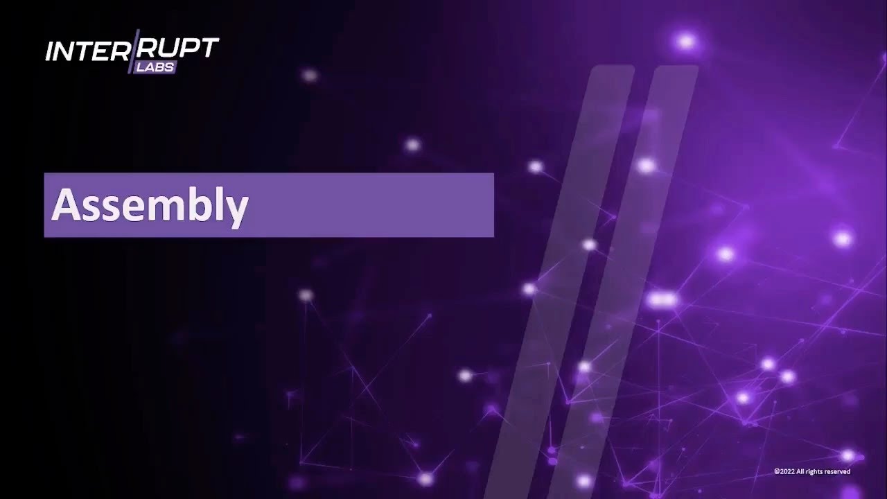 InterruptLabs's tweet card. VRDP Training - Assembly Code