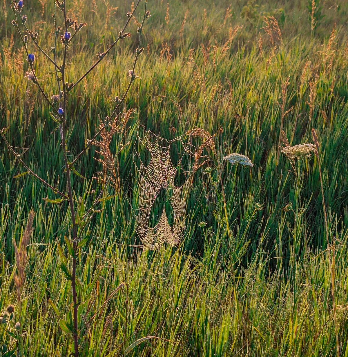 adavieauthor's tweet card. “As I very much wish to live like the drifting clouds with a heart that dwells nowhere, I beg you to accommodate my wish while I am…