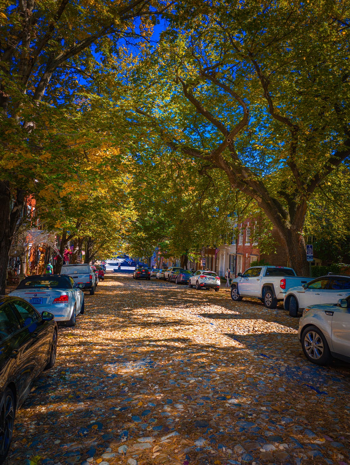 adavieauthor's tweet card. Turn, Turn, Turn is a song written by musician Pete Seeger in 1959 made popular by The Byrds in 1965. The entire song, except for the title…