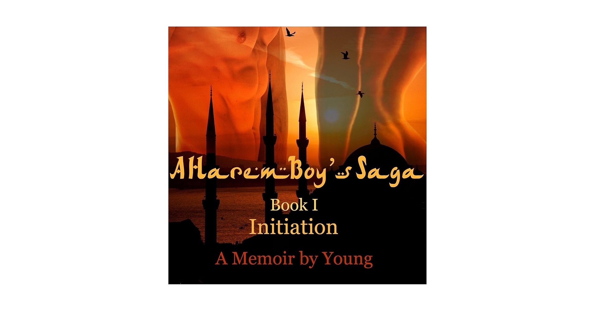 bernardfoong's tweet card. Initiation (A Harem Boy's Saga Book 1)
