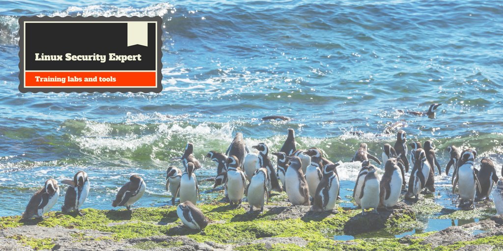 LSELabs's tweet card. peepdf is a tool to explore a PDF file in order to find out if the file can be harmful or not. It helps security researchers in simplifying the analysis of PDF