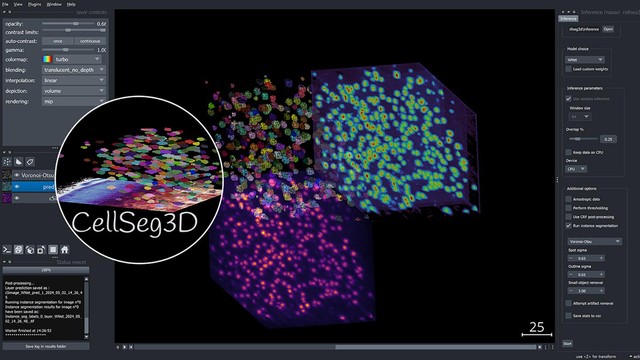TrackingActions's tweet card. EPFL researchers introduce CellSeg3D, a self-supervised tool for 3D cell segmentation in fluorescence microscopy, eliminating the need for manual labeling and enhancing accessibility for various...