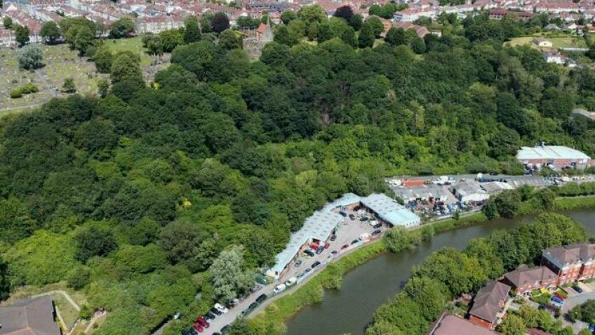 nicolabeech's tweet card. To buy five-acres of mature woodland in Crew's Hole, Bristol, for the long-term benefit of the community, wildlife and the climate.