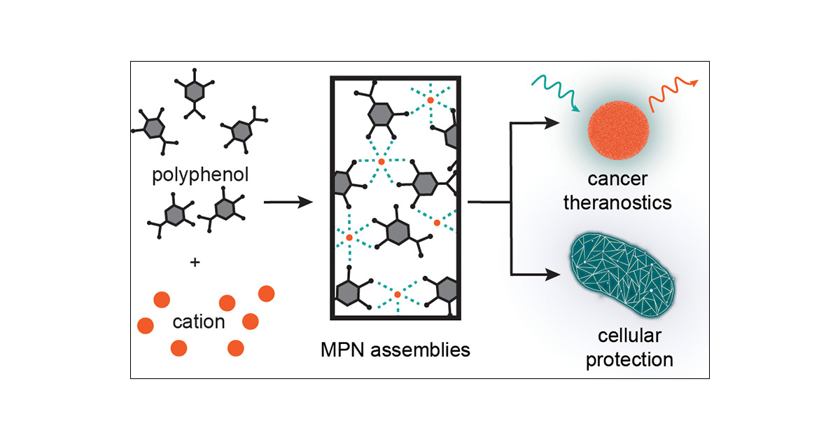 afurst1's tweet card. Polyphenols are naturally derived organic compounds that have long been used as food additives, antioxidants, and adhesives owing to their intrinsic physicochemical properties. Recently, there has...
