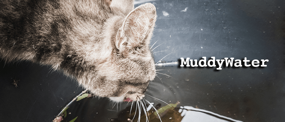 reverseame's tweet card. MuddyWater, also known as Static Kitten and Mercury, is a cyber espionage group that’s most likely a subordinate element within Iran's Ministry of Intelligence and Security (MOIS).