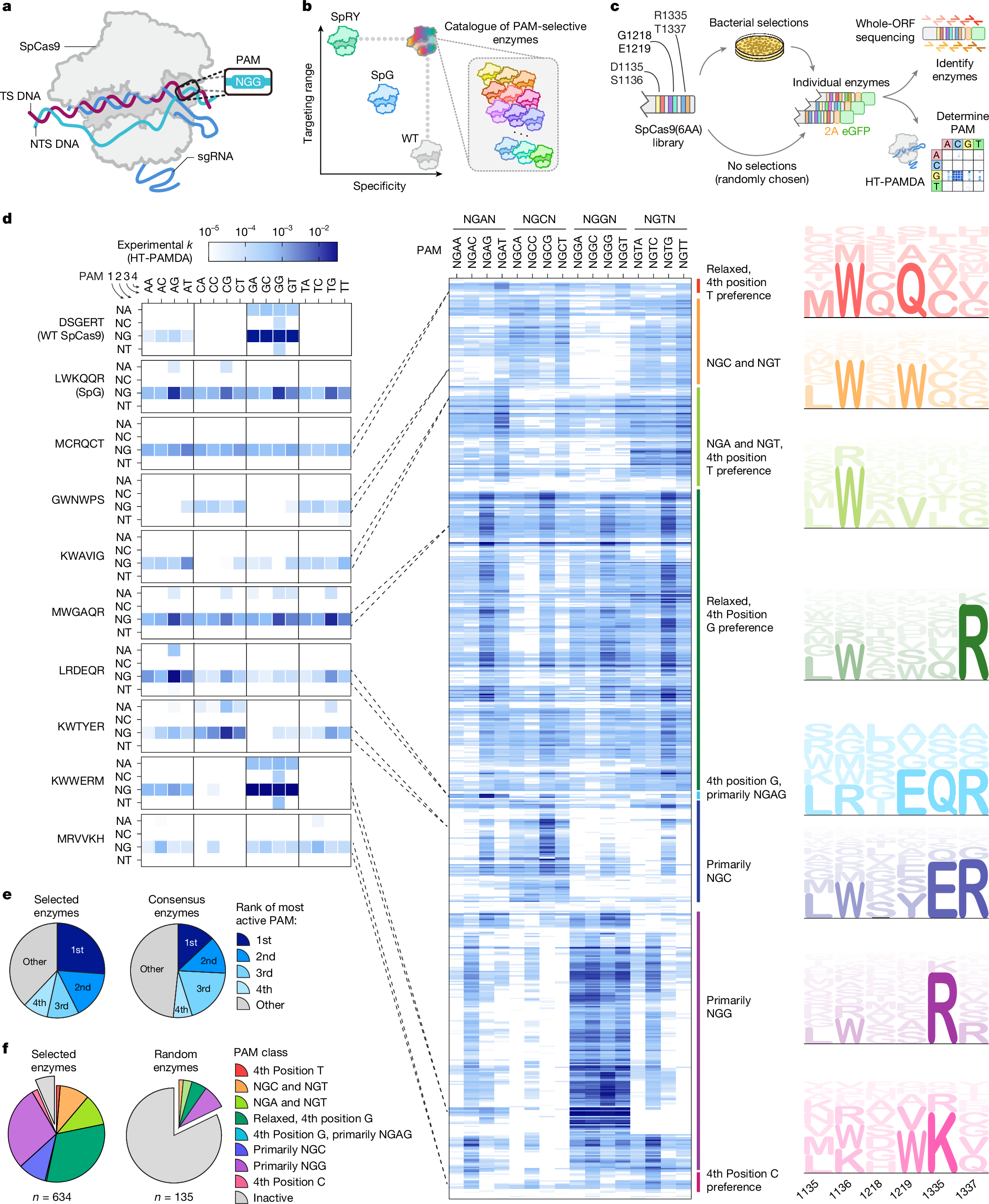 BKleinstiver's tweet card. Nature - Combined high-throughput protein engineering with machine learning to curate libraries of CRISPR genome-editing enzymes with distinct genome targeting properties is described.