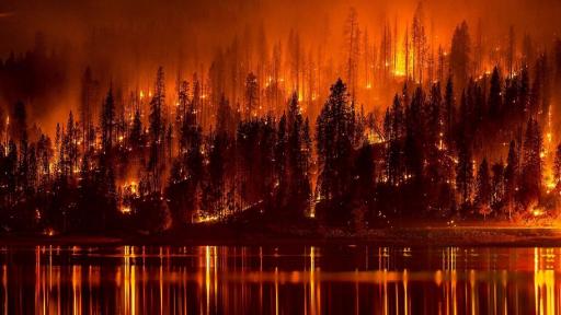 1TSForrest's tweet card. Check out the Forrest FIRE (TSForrest) community on Discord - hang out with 152 other members and enjoy free voice and text chat.