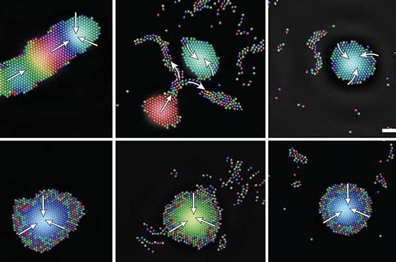 TechXplore_com's tweet card. Animals like bats, whales and insects have long used acoustic signals for communication and navigation. Now, an international team of scientists has taken a page from nature's playbook to model...
