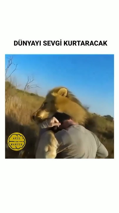 manam_agh's tweet card. Sevgi 🥰 Her Şeydir 🫶❤️💐🙏💕