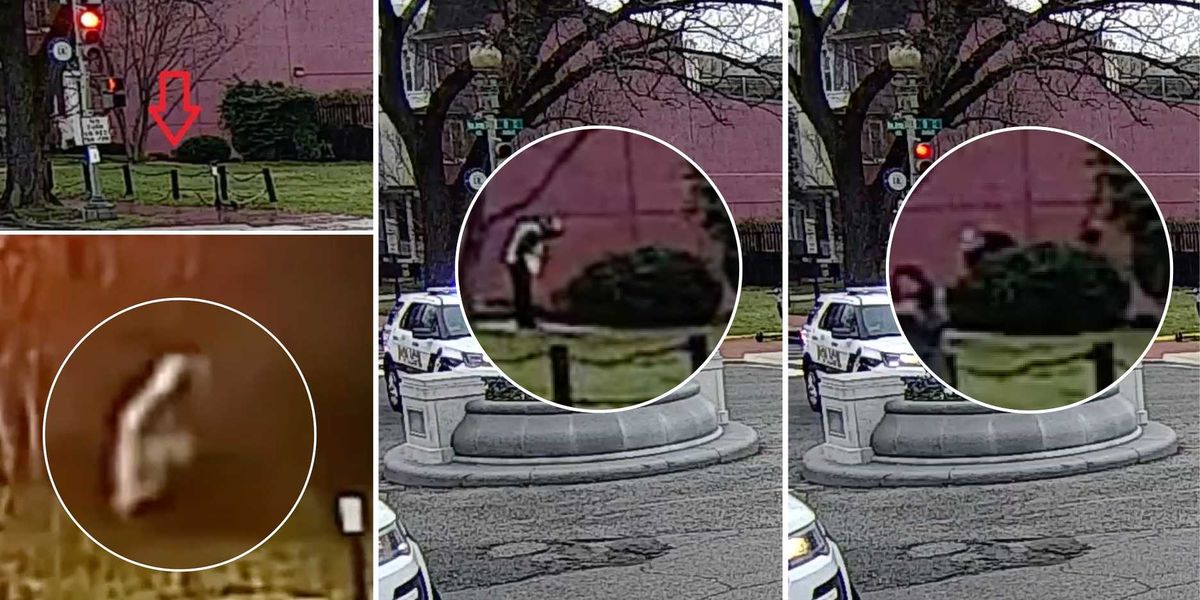 SteveBakerUSA's tweet card. Search under a shrub at the Congressional Black Caucus Institute happened 2 minutes before one of the officers discovered a pipe bomb at the nearby DNC on Jan. 6, 2021.