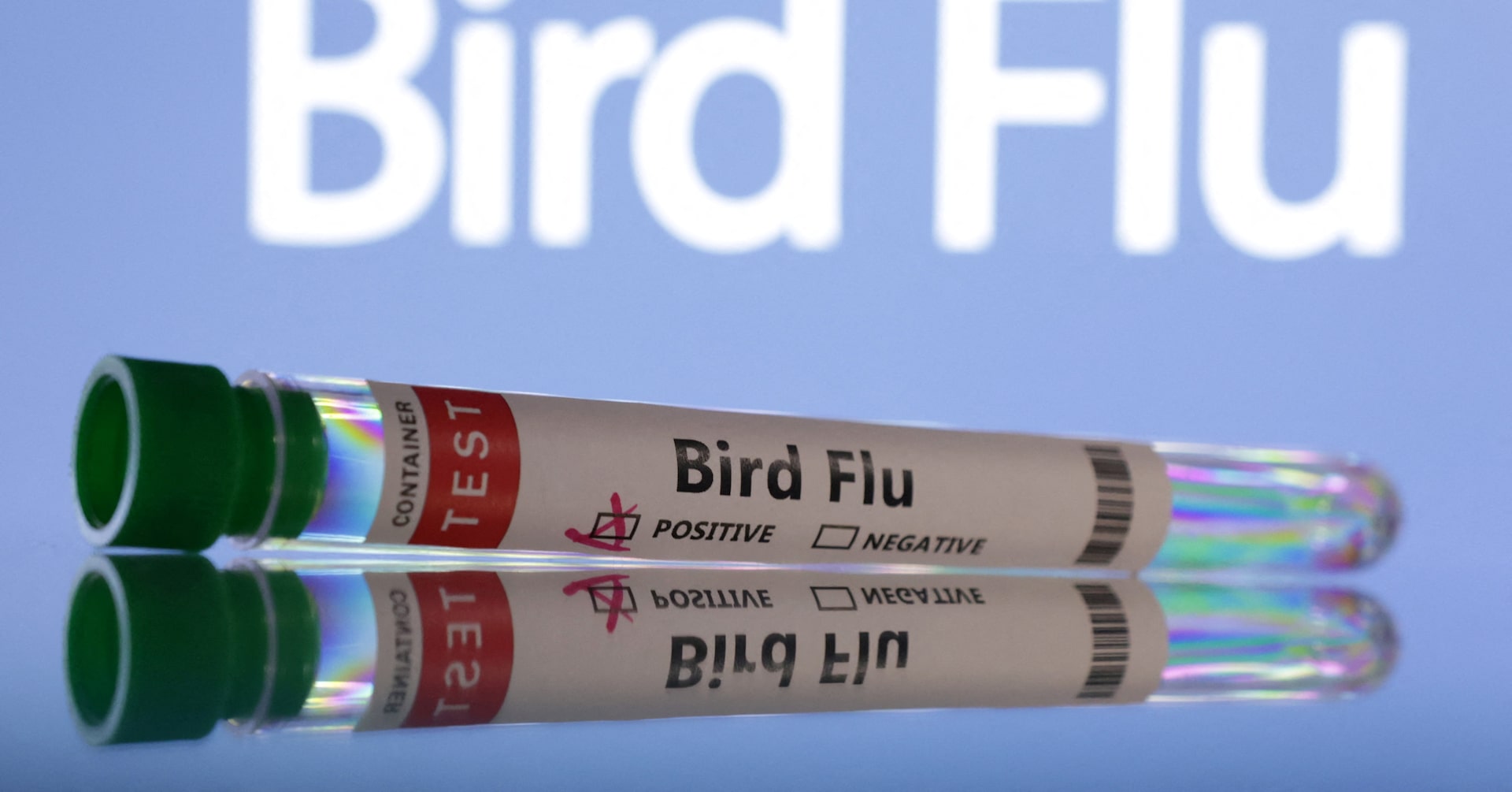 Reuters's tweet card. A Washington State resident receiving treatment for H5N5 avian influenza died on Friday, the state's health department said, in the first confirmed human case of this variant globally.