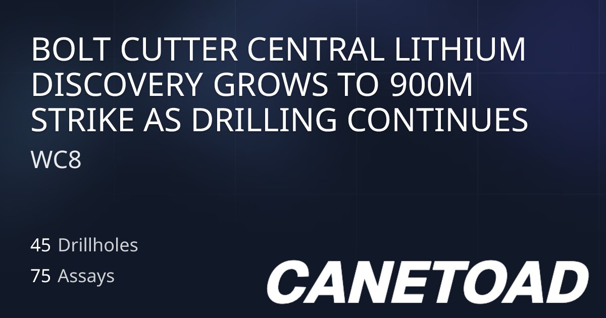 TerryCanetoad's tweet card. Drilling report from WC8 published on 2025-11-19.