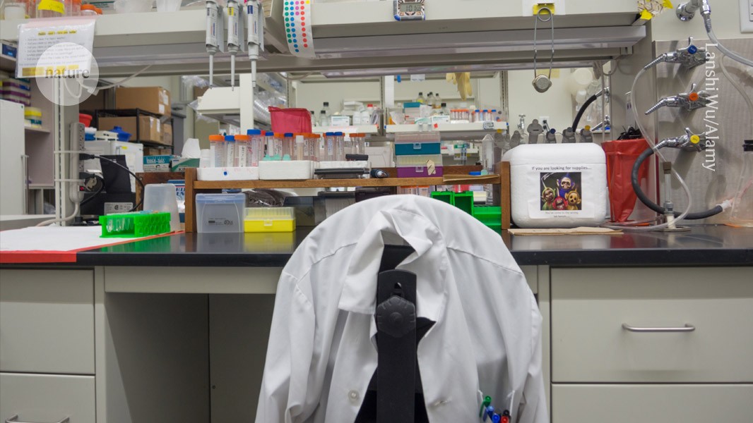 Nature's tweet card. Nature - Publishing highly cited papers helps postdoctoral researchers to land a faculty job.