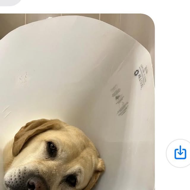 MathsterP's tweet card. Libby F. Trenkle-Pizzo (@libbypizzo) • Instagram photo